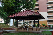 Blk 239 Bukit Panjang Ring Road (Bukit Panjang), HDB Executive #215842